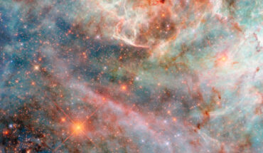 This Hubble image shows a portion of a colorful nebula in the Large Magellanic Cloud, a dwarf galaxy located 160,000 light-years away from Earth in the constellations of Dorado and Mensa. Image credit: NASA / ESA / Hubble / C. Murray.