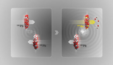 Illustration of an ultraperipheral collision where the two lead (208Pb) ion beams at the LHC pass by close to each other without colliding; in the electromagnetic dissociation process, a photon interacting with a nucleus can excite oscillations of its internal structure and result in the ejection of small numbers of neutrons (two) and protons (three), leaving the gold (203Au) nucleus behind. Image credit: CERN.