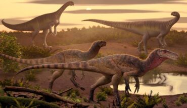 Life reconstruction of Maleriraptor kuttyi with the unaysaurid sauropodomorph Jaklapallisaurus asymmetricus, both from the lower Norian Upper Maleri Formation of south-central India. Image credit: Márcio L. Castro.