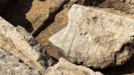 A fragment of the 2,600-year-old stone relief from the archaeological site of Nineveh. Image credit: Aaron Schmitt.