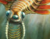 Life reconstruction of Mosura fentoni. Image credit: Danielle Dufault, Royal Ontario Museum.