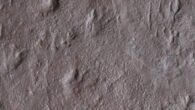 The 355-million-year-old track-bearing slab from the Snowy Plains Formation, Australia. Image credit: Long et al., doi: 10.1038/s41586-025-08884-5.