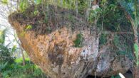 The limestone boulder Maka Lahi. Image credit: Köhler et al., doi: 10.1016/j.margeo.2025.107567.