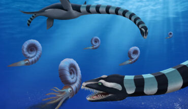 Traskasaura sandrae. Image credit: O’Keefe et al., doi: 10.1080/14772019.2025.2489938.