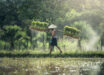 Kim et al. hypothesize that the vast interindividual differences in shift work adaptation -- critical for shift worker health -- can in part be explained by biological mechanisms for seasonal timing. Image credit: Sasin Tipchai.