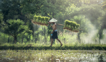 Kim et al. hypothesize that the vast interindividual differences in shift work adaptation -- critical for shift worker health -- can in part be explained by biological mechanisms for seasonal timing. Image credit: Sasin Tipchai.