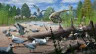An illustration of Cretaceous period birds with other dinosaurs from the same time period in the background. Image credit: Gabriel Ugueto.