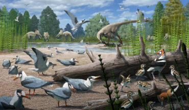 An illustration of Cretaceous period birds with other dinosaurs from the same time period in the background. Image credit: Gabriel Ugueto.