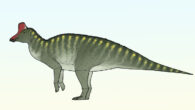 An artist’s reconstruction of Taleta taleta. Image credit: Connor Ashbridge.
