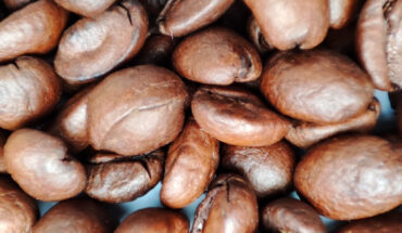 Mahdavi et al. aimed to investigate the association between caffeine intake in midlife and the likelihood of healthy aging in women in older adulthood in participants in the Nurses’ Health Study. Image credit: Sci.News.