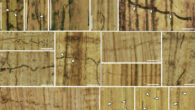 Blue-stain fungus in wood tissues of Xenoxylon phyllocladoides from the Jurassic of western Liaoning province, China. Image credit: Tian et al., doi: 10.1093/nsr/nwaf160.