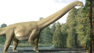 An artist’s impression of Diamantinasaurus matildae (Judy). Image credit: Travis Tischler.