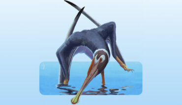Artistic reconstruction of Spathagnathus roeperi. Image credit: Alessio Ciaffi.