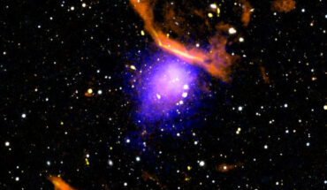 This new composite image made with X-rays from NASA’s Chandra X-ray Observatory (blue and purple), radio data from the MeerKAT radio telescope (orange and yellow), and an optical image from PanSTARRS (red, green, and blue) shows the massive galaxy cluster PLCK G287.0+32.9. Image credit: NASA / CXC / CfA / Rajpurohit et al. / PanSTARRS / SARAO / MeerKAT / SAO / N. Wolk.