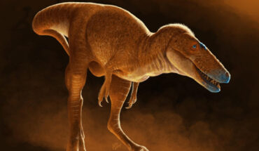 Khankhuuluu mongoliensis. Image credit: Julius Csotonyi.