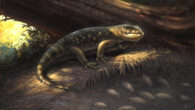 Life reconstruction of Bolg amondol. Image credit: Cullen Townsend.