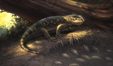 Life reconstruction of Bolg amondol. Image credit: Cullen Townsend.