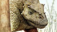 An artist’s reconstruction of Yinshanosaurus angustus. Image credit: X.-C. Guo, Institute of Vertebrate Paleontology and Paleoanthropology.