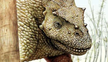 An artist’s reconstruction of Yinshanosaurus angustus. Image credit: X.-C. Guo, Institute of Vertebrate Paleontology and Paleoanthropology.