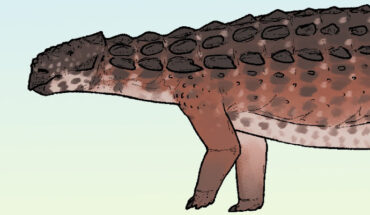 Life reconstruction of Zhongyuansaurus junchangi. Image credit: Connor Ashbridge / CC BY 4.0.