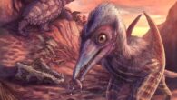 An artist’s reconstruction of Eotephradactylus mcintireae, other animals, and plants found preserved in a remote bonebed in Petrified Forest National Park in Arizona, the United States. Image credit: Brian Engh.