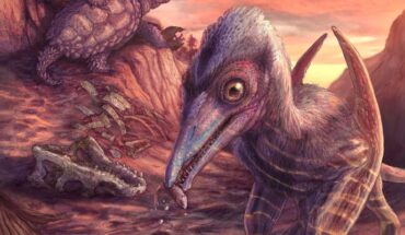 An artist’s reconstruction of Eotephradactylus mcintireae, other animals, and plants found preserved in a remote bonebed in Petrified Forest National Park in Arizona, the United States. Image credit: Brian Engh.