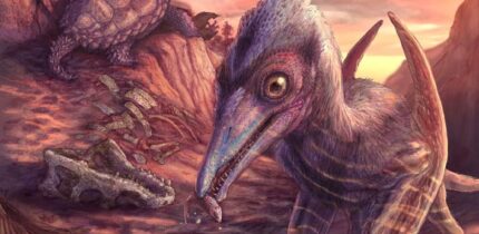 An artist’s reconstruction of Eotephradactylus mcintireae, other animals, and plants found preserved in a remote bonebed in Petrified Forest National Park in Arizona, the United States. Image credit: Brian Engh.