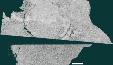 Backscattered electron image of the NWA 16286 sample. Image credit: Joshua Snape / University of Manchester.