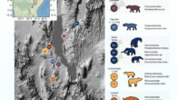 The Turkana Basin within the East African Rift System preserves fossil assemblages that date back more than 66 million years; Green et al. collected powdered samples for paleoproteomic analysis from the dense interiors of enamel from large herbivores from the Early Pleistocene back to the Oligocene (29 million years). Image credit: Green et al., doi: 10.1038/s41586-025-09040-9.