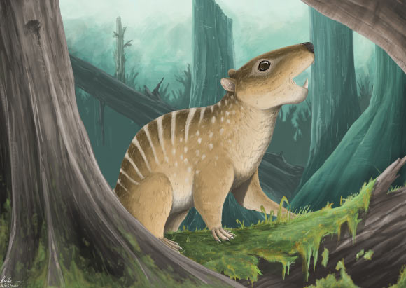 An artist’s restoration of Novaculadon mirabilis. Image credit: Hamzah Imran.