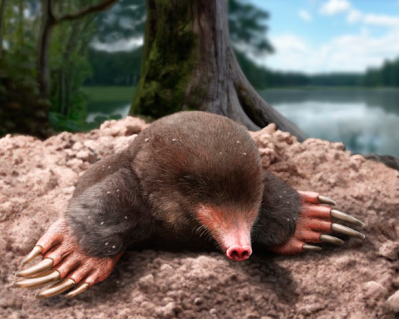 Life reconstruction of Vulcanoscaptor ninoti. Image credit: Jesús Gamarra / IPHES-CERCA.