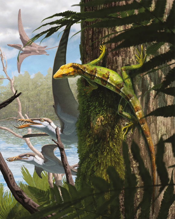 Life representation of Sphenodraco scandentis in the palaeoenvironment of the Solnhofen Archipelago. Image credit: Gabriel Ugueto.