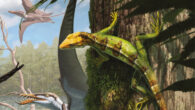 Life representation of Sphenodraco scandentis in the palaeoenvironment of the Solnhofen Archipelago. Image credit: Gabriel Ugueto.