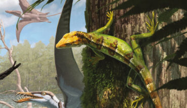Life representation of Sphenodraco scandentis in the palaeoenvironment of the Solnhofen Archipelago. Image credit: Gabriel Ugueto.
