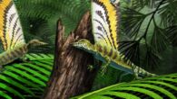 Mirasaura grauvogeli in its natural forested environment, hunting insects. Image credit Gabriel Ugueto.