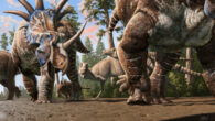 A herd of ceratopsians (Styracosaurus albertensis) accompanied by an ankylosaur (Euplocephalus tutus) walk through an old river channel under the watchful eyes of two tyrannosaurs (Gorgosaurus libratus). Image credit: Julius Csotonyi.