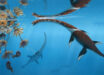 Life reconstruction of Plesionectes longicollum. Image credit: Peter Nickolaus.
