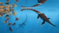 Life reconstruction of Plesionectes longicollum. Image credit: Peter Nickolaus.