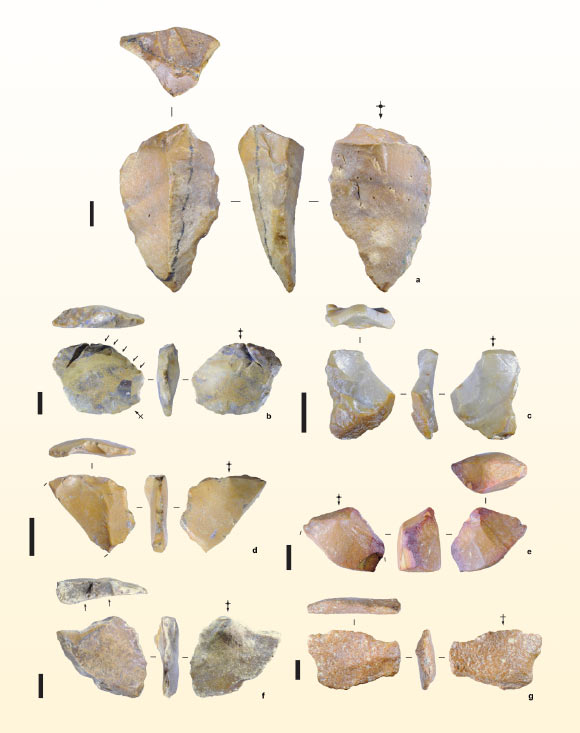 Stone artifacts from the site of Calio, Sulawesi, Indonesia. Image credit: Hakim et al., doi: 10.1038/s41586-025-09348-6.