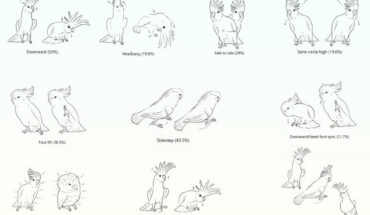 Illustration of the 10 most common recorded dance movements by cockatoos. Image credit: Lubke et al., doi: 10.1371/journal.pone.0328487.