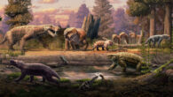 An artistic rendering of an evening approximately 252 million years ago during the Late Permian epoch in the Luangwa Basin of Zambia. The scene includes several saber-toothed gorgonopsians and beaked dicynodonts. Image credit: Gabriel Ugueto.