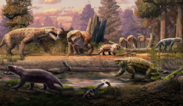 An artistic rendering of an evening approximately 252 million years ago during the Late Permian epoch in the Luangwa Basin of Zambia. The scene includes several saber-toothed gorgonopsians and beaked dicynodonts. Image credit: Gabriel Ugueto.