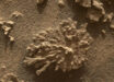 This image of the Paposo rock was taken by Curiosity’s MAHLI instrument on July 24, 2025. Image credit: NASA / JPL-Caltech / MSSS.