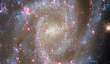 This Hubble image shows NGC 2835, a spiral galaxy some 35 million light-years away in the constellation of Hydra. Image credit: NASA / ESA / Hubble / R. Chandar / J. Lee / PHANGS-HST Team.