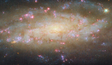 This Hubble image shows NGC 7456, a spiral galaxy located 51 million light-years away in the constellation of Grus. Image credit: NASA / ESA / Hubble / D. Thilker.