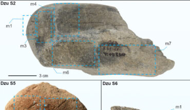 Five pebbles from Dzudzuana Cave, Georgia. Image credit: Longo et al., doi: 10.1371/journal.pone.0321262.