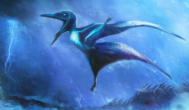 An artist’s impression of a tiny Pterodactylus antiquus hatchling struggling against a raging tropical storm, inspired by fossil discoveries. Image credit: Rudolf Hima.