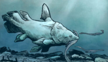 An artist’s reconstruction of a large mawsoniid coelacanth from the British Rhaetian. Image credit: Daniel Phillips.