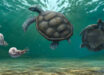 Artistic reconstruction of Craspedochelys renzi and the shallow marine ecosystem where inhabited; the forelimbs with a flippler like shape is based on the most complete thalassochelydian known so far, Thalassemys bruntrutana. Image credit: Juan Giraldo.