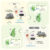 Sleep is known to promote tissue growth and regulate metabolism, partly by enhancing growth hormone (GH) release, but the underlying circuit mechanism is unknown. Ding et al. demonstrate how GH release, which is enhanced during both rapid eye movement (REM) and non-REM (NREM) sleep, is regulated by sleep-wake-dependent activity of distinct hypothalamic neurons expressing GH-releasing hormone (GHRH) and somatostatin (SST). SST neurons in the arcuate nucleus suppress GH release by inhibiting nearby GHRH neurons that stimulate GH release, whereas periventricular SST neurons inhibit GH release by projecting to the median eminence. GH release is associated with strong surges of both GHRH and SST activity during REM sleep but moderately increased GHRH and decreased SST activity during NREM sleep. Furthermore, Ding et al. identified a negative feedback pathway in which GH enhances the excitability of locus coeruleus neurons and increases wakefulness. Image credit: Ding et al., doi: 10.1016/j.cell.2025.05.039.